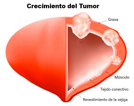 drwillianferrer.com